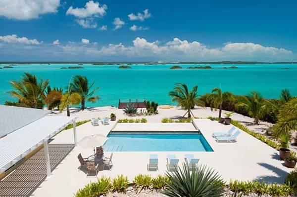 Breezy Palms