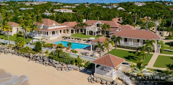 Chateau des Palmiers