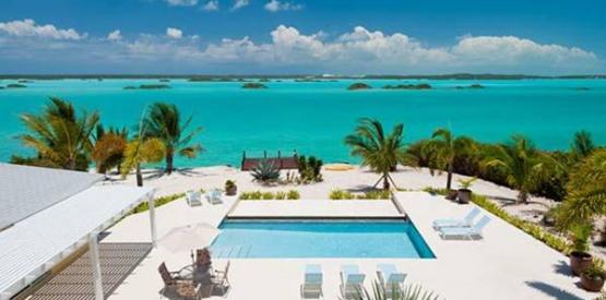 Breezy Palms
